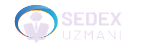 sedexuzmani logo light